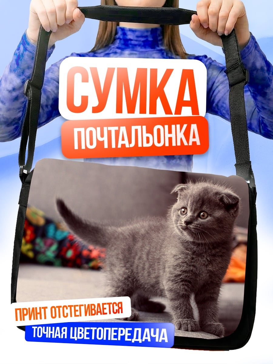 Сумка-почтальонка Милый серый котенок