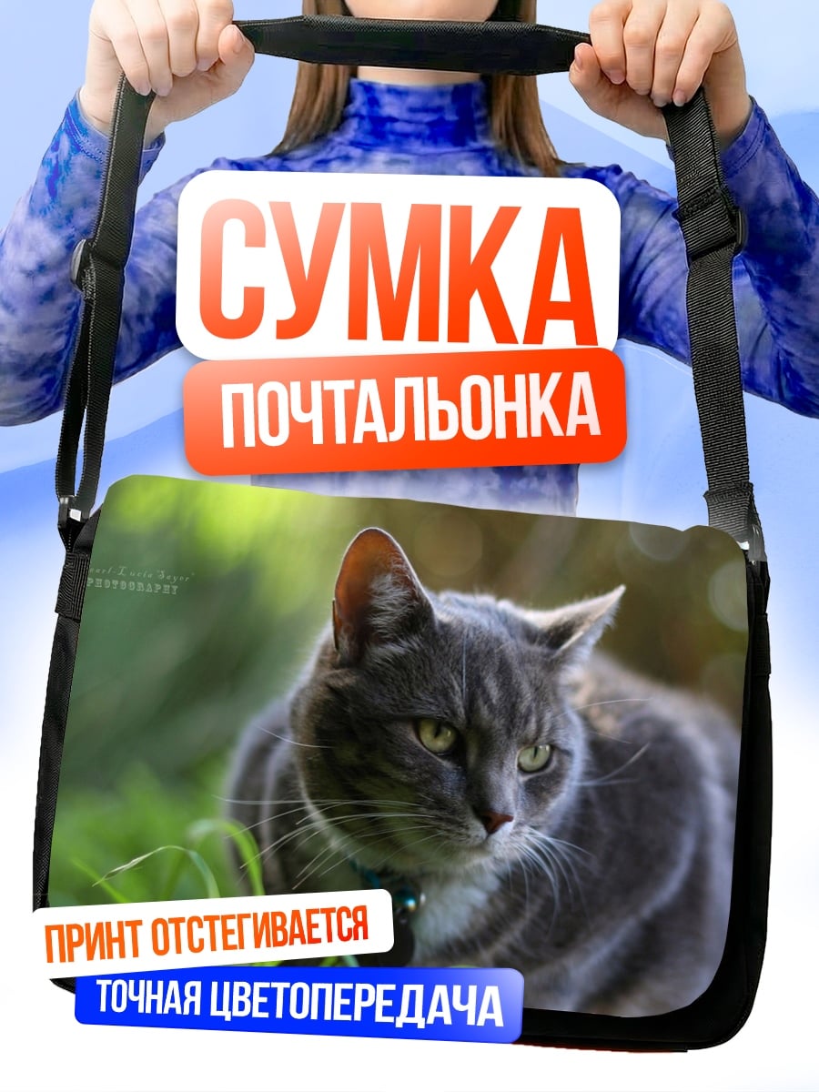 Сумка-почтальонка серый кот