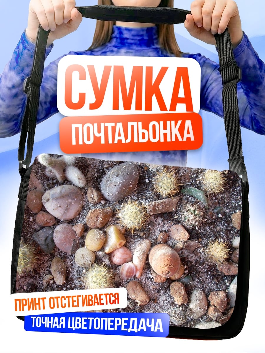 Сумка-почтальонка Кактусы и камни