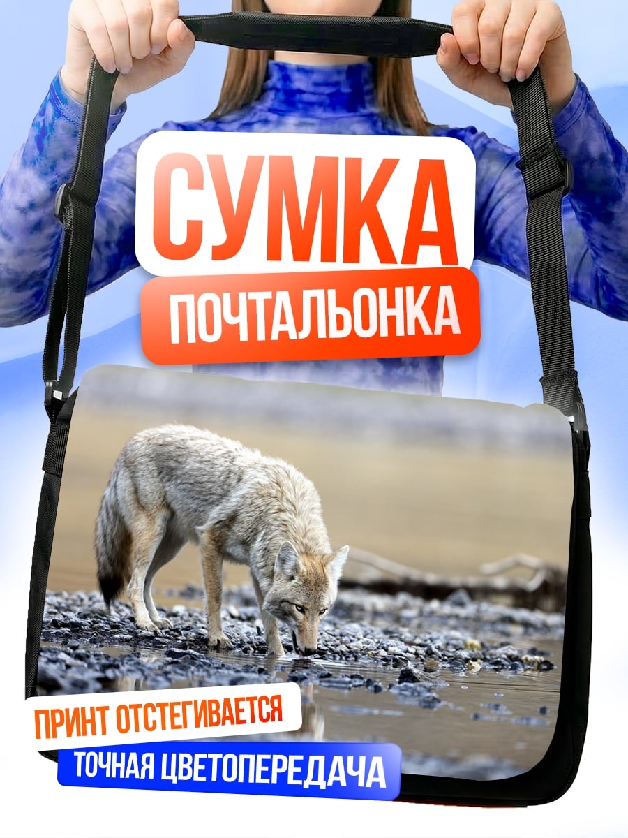 Сумка-почтальонка Пьющий койот