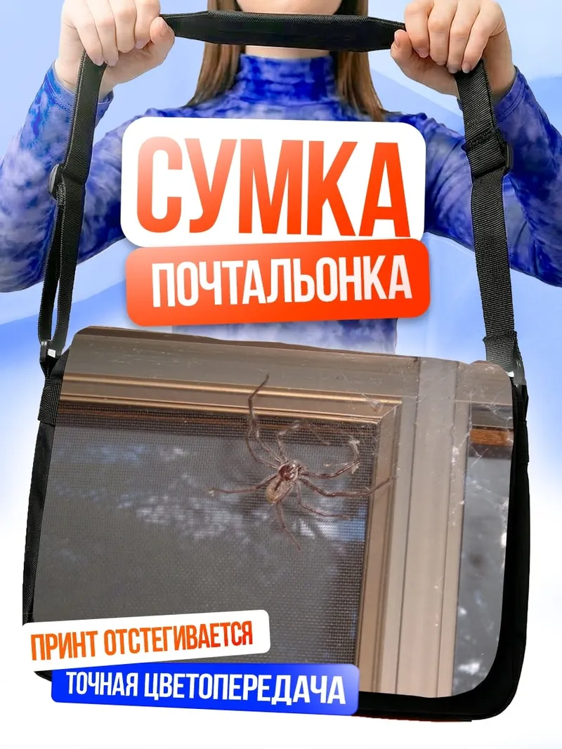Сумка-почтальонка паук на окне