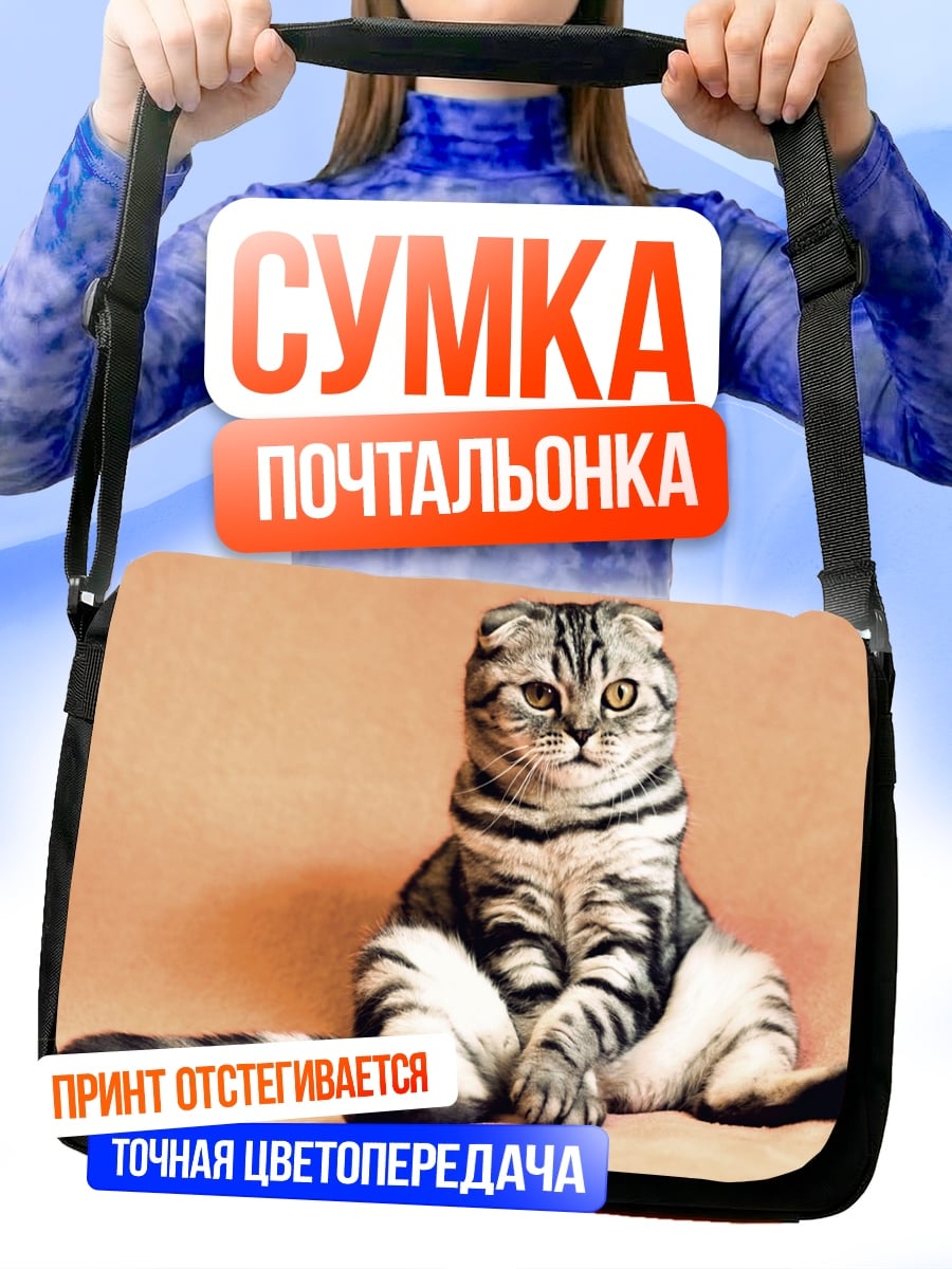 Сумка-почтальонка Шотландский вислоухий кот