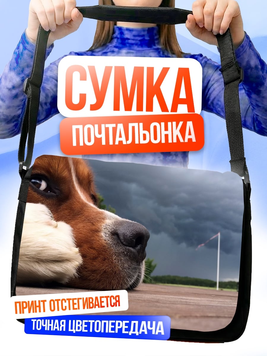 Сумка-почтальонка Собака и гроза