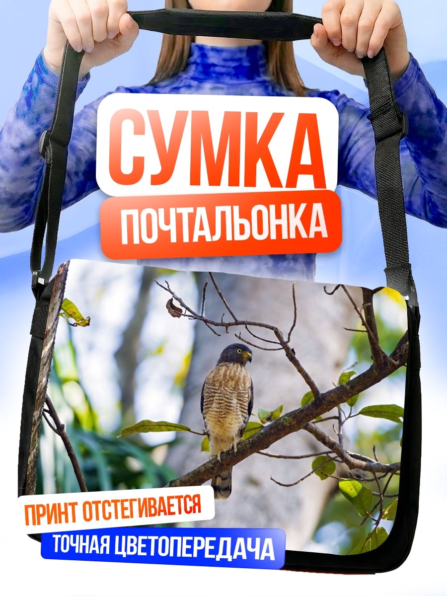 Сумка-почтальонка ястреб на ветке