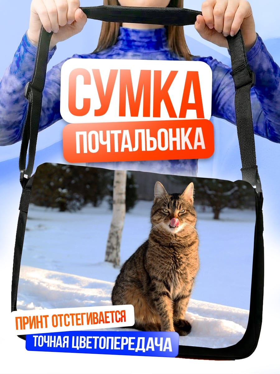 Сумка-почтальонка Кот на снегу
