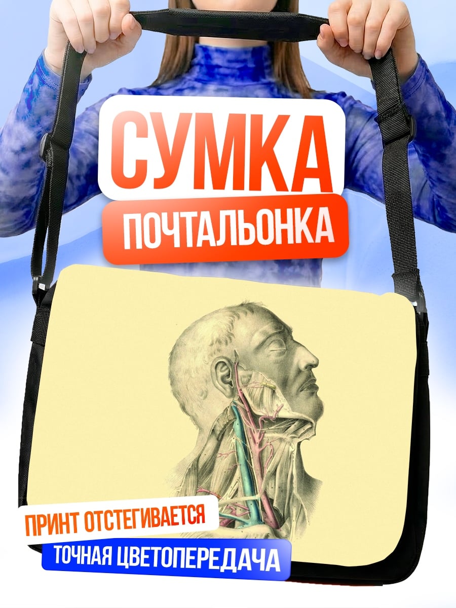 Сумка-почтальонка Анатомия шеи человека