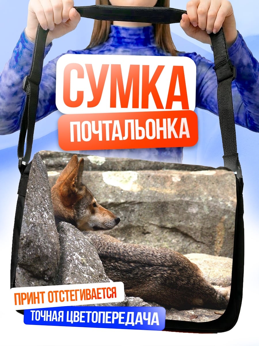 Сумка-почтальонка Волк на камнях