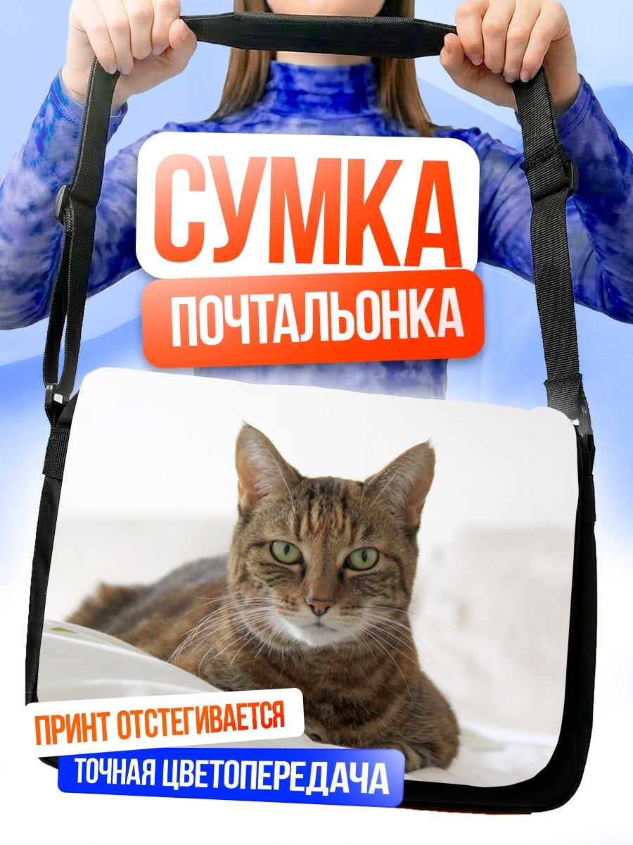 Сумка-почтальонка Лежащий кот