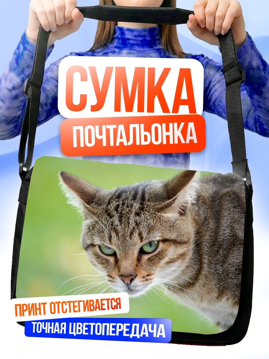 Сумка-почтальонка Кот