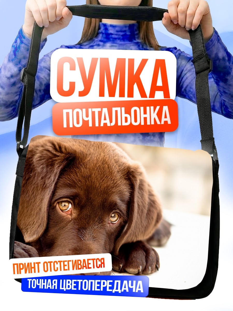 Сумка-почтальонка Шоколадный лабрадор