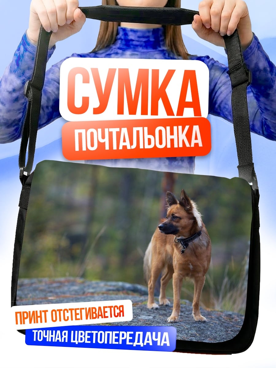 Сумка-почтальонка Собака в лесу