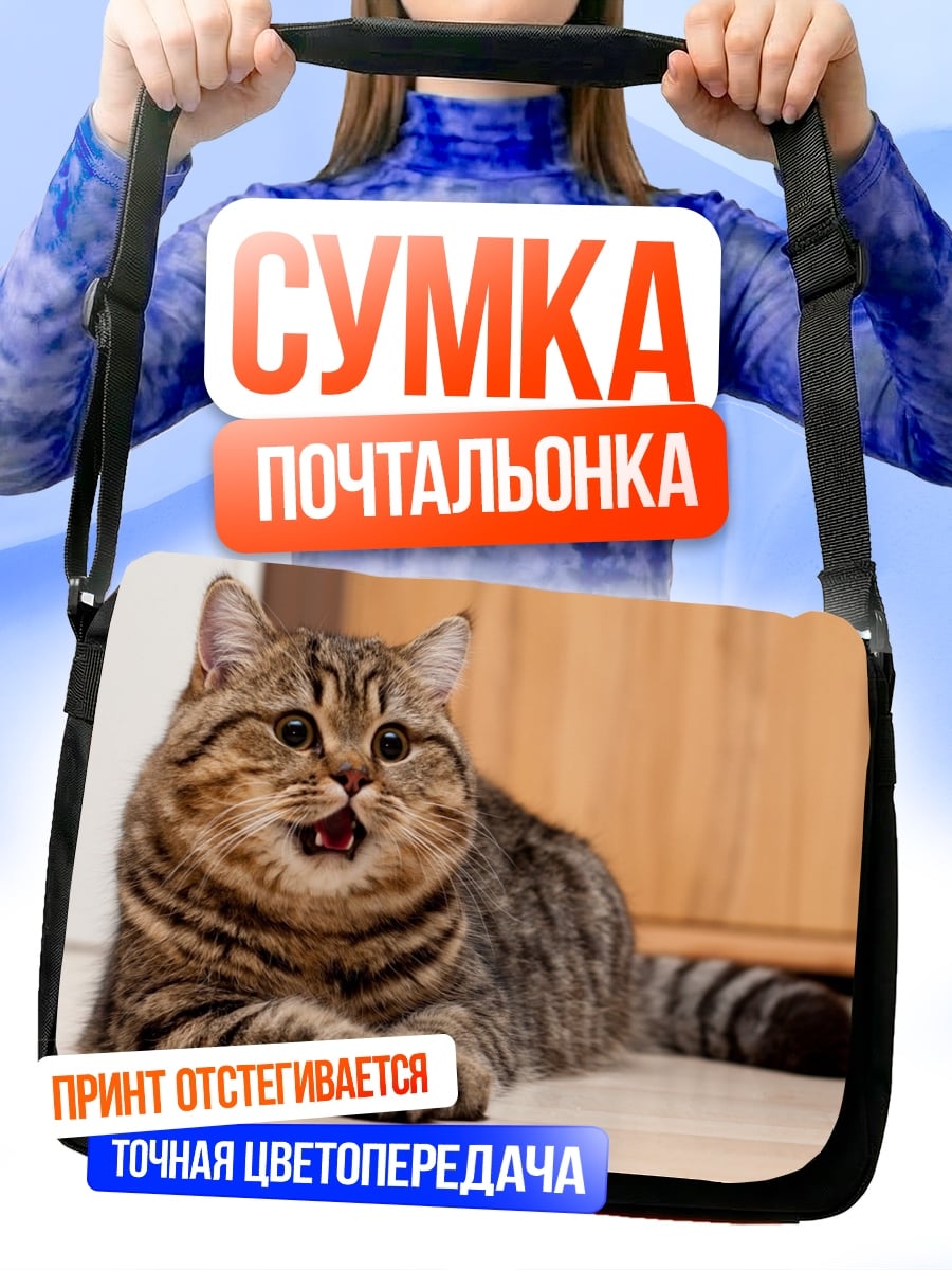 Сумка-почтальонка зевающий кот
