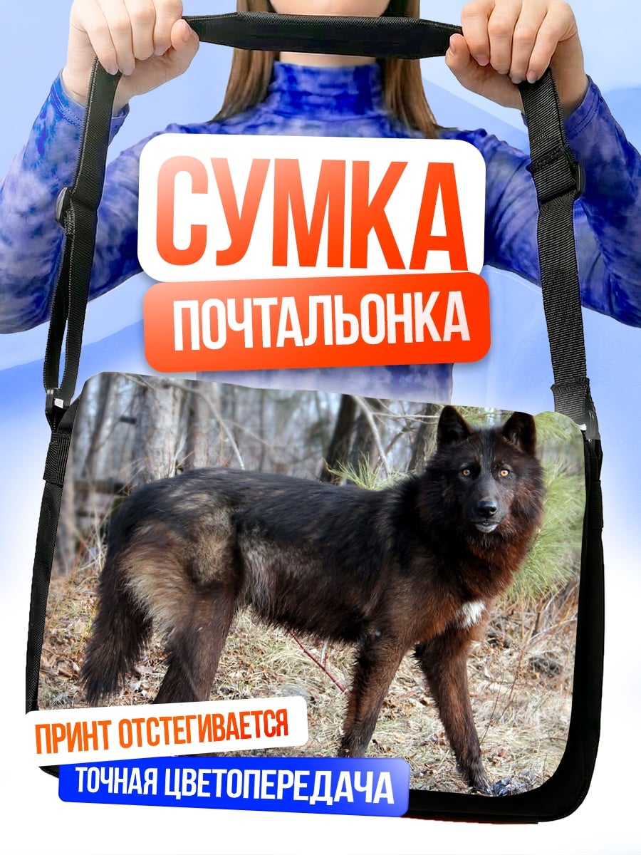 Сумка-почтальонка Черный волк в лесу