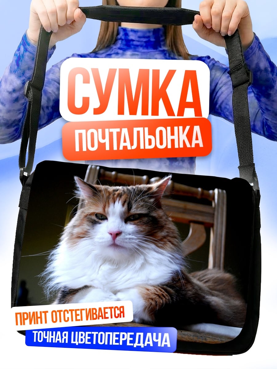 Сумка-почтальонка Пушистый кот на стуле