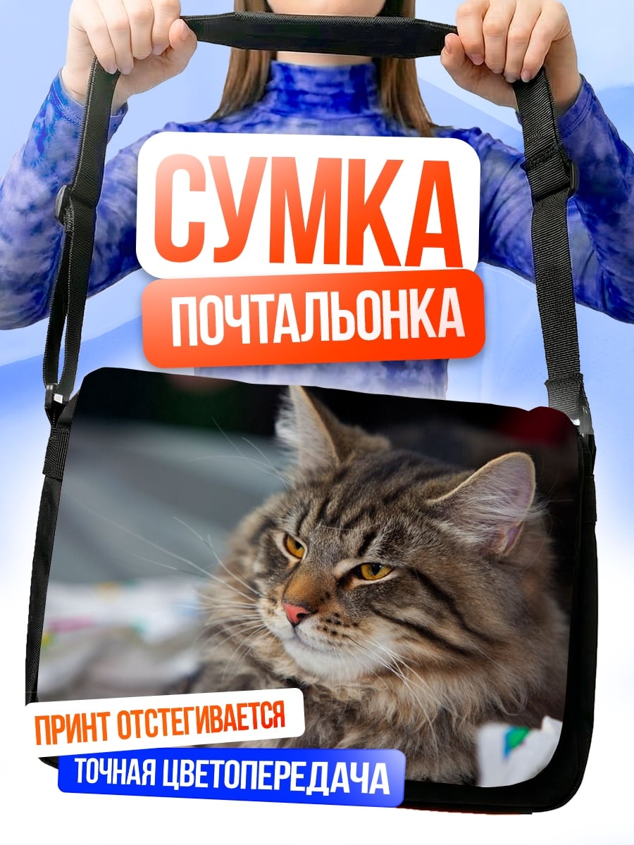 Сумка-почтальонка Кот породы мейн-кун