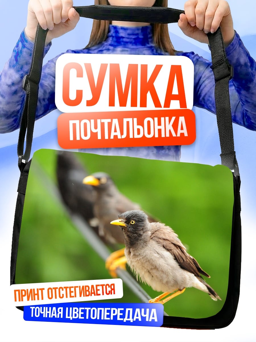 Сумка-почтальонка Птицы на проводе