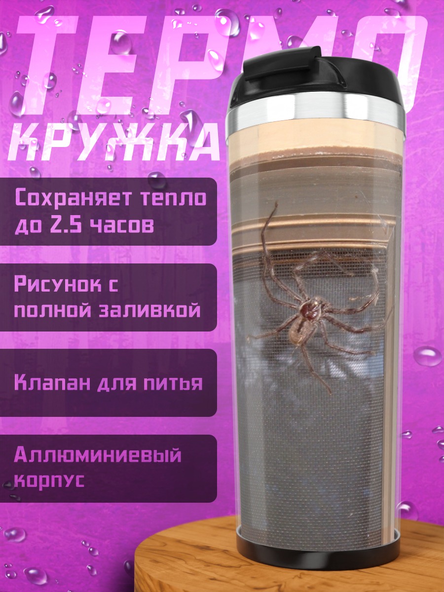 Термокружка паук на окне