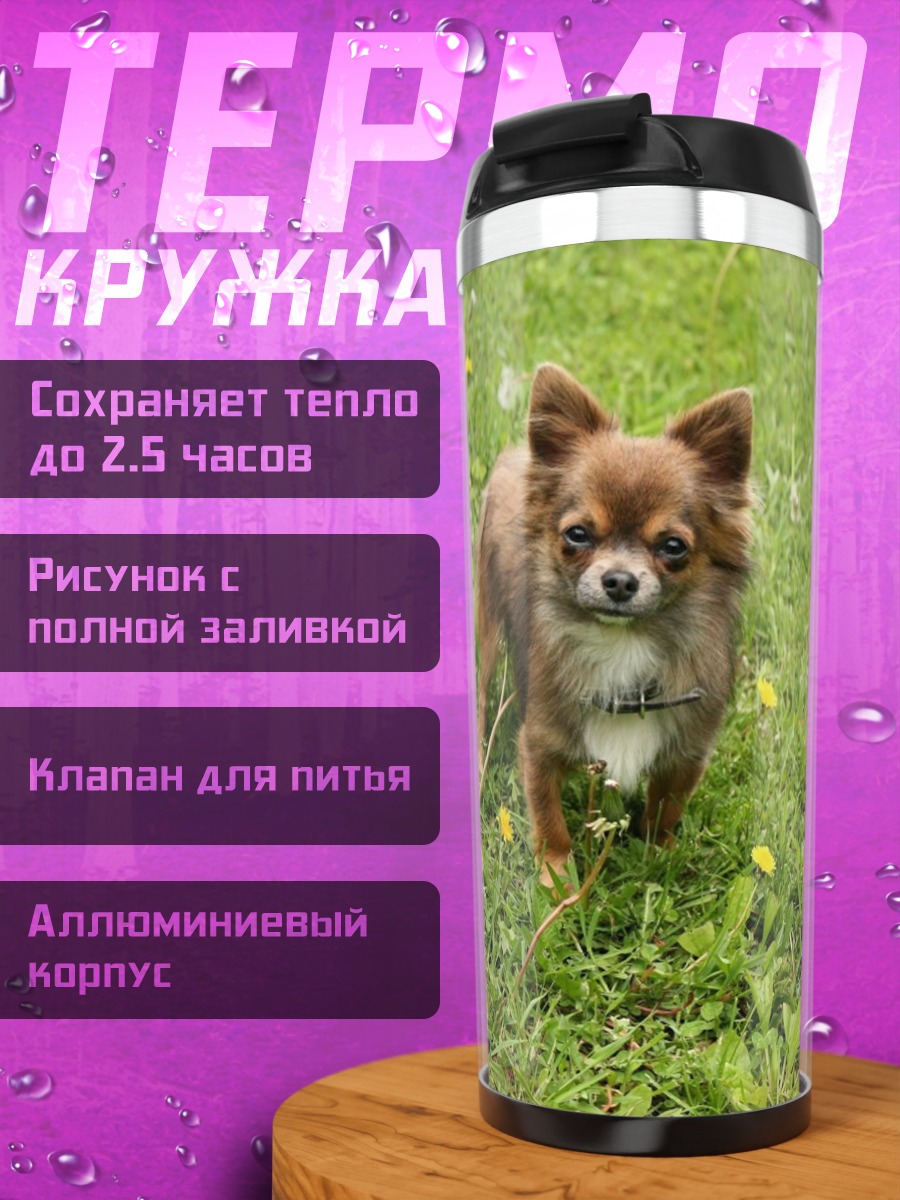 Термокружка Чихуахуа на траве