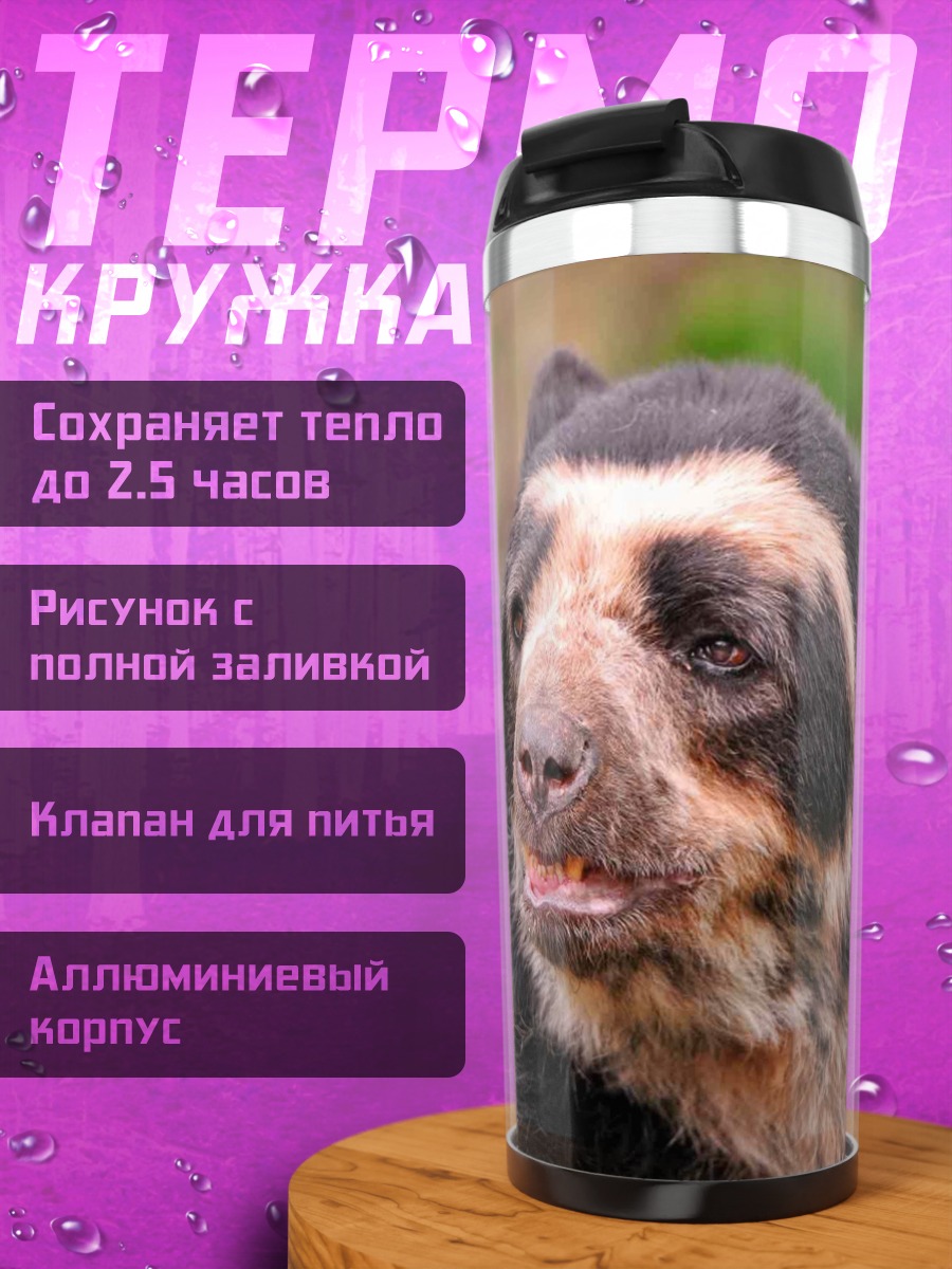 Термокружка медведь очковый