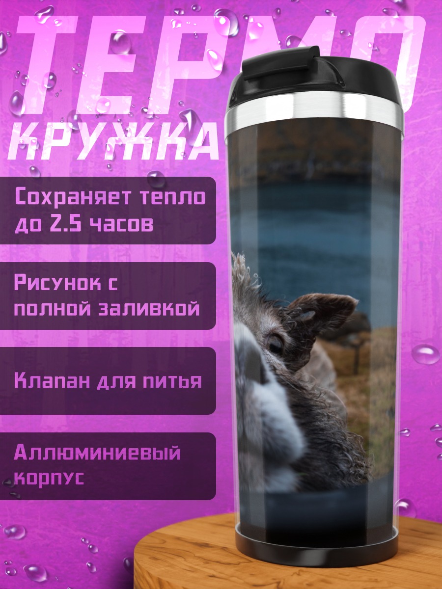 Термокружка любопытная овца крупным планом