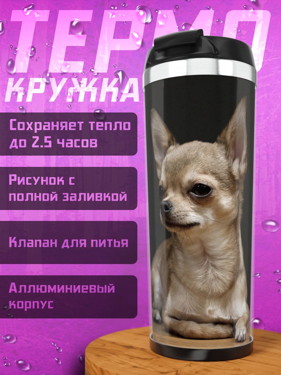 Термокружка Чихуахуа на полу