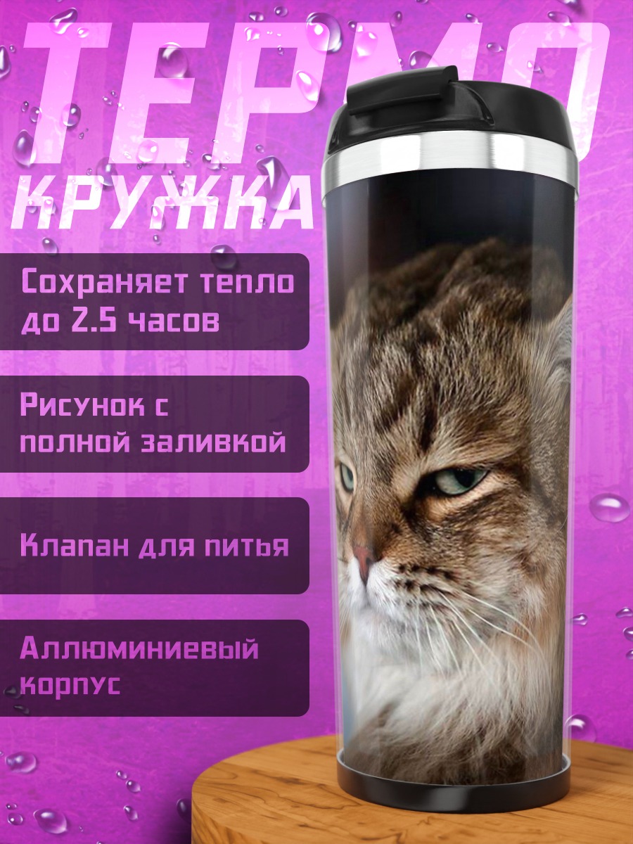 Термокружка сердитый кот