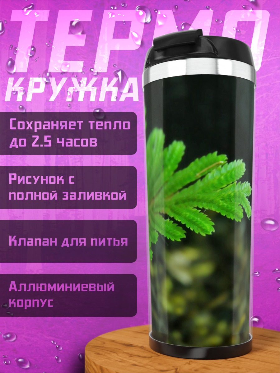 Термокружка Зеленый Папоротник