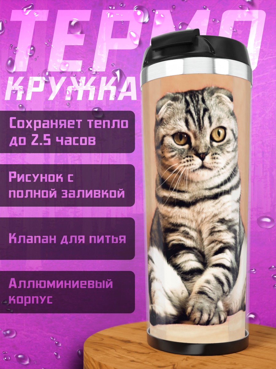 Термокружка Шотландский вислоухий кот