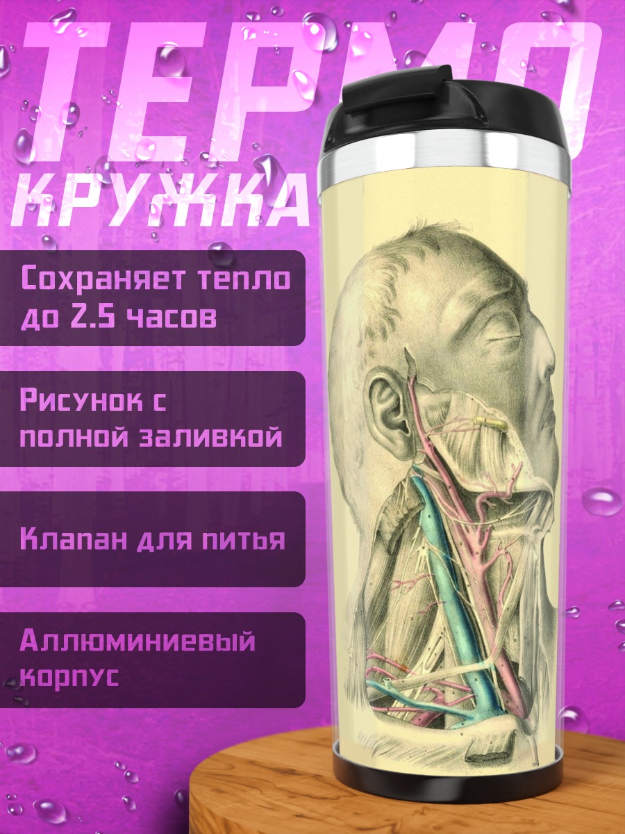 Термокружка Анатомия шеи человека