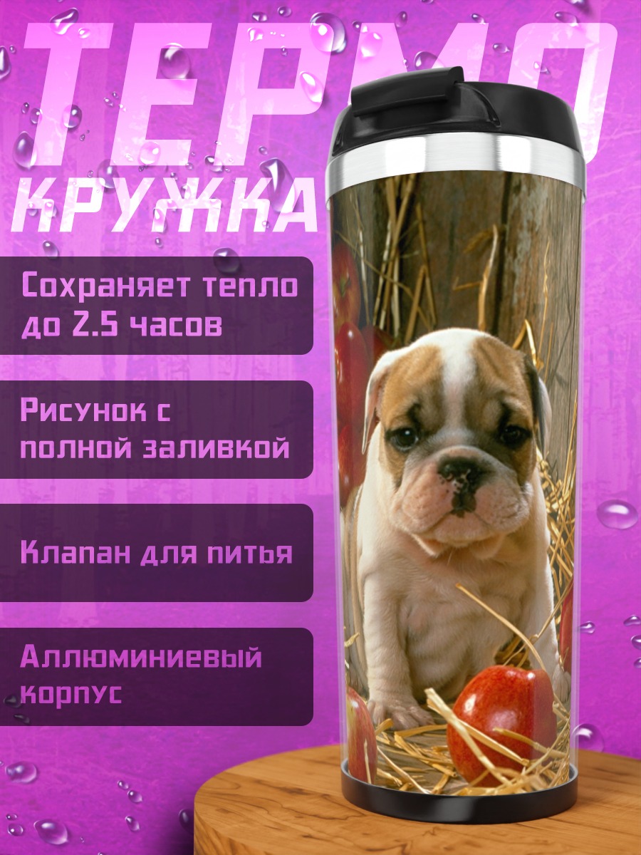 Термокружка Щенок бульдога с яблоками
