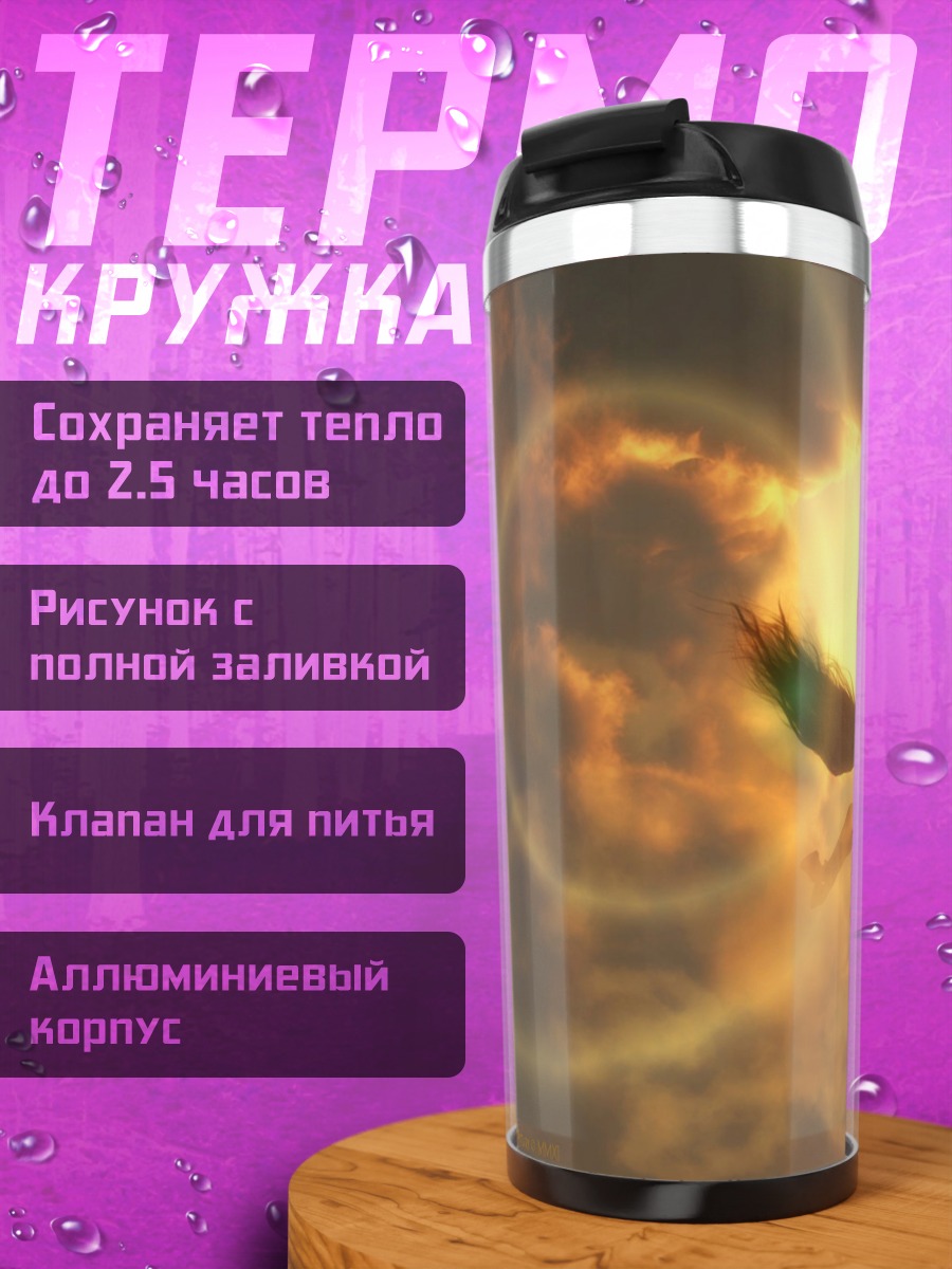 Термокружка пегас в небе