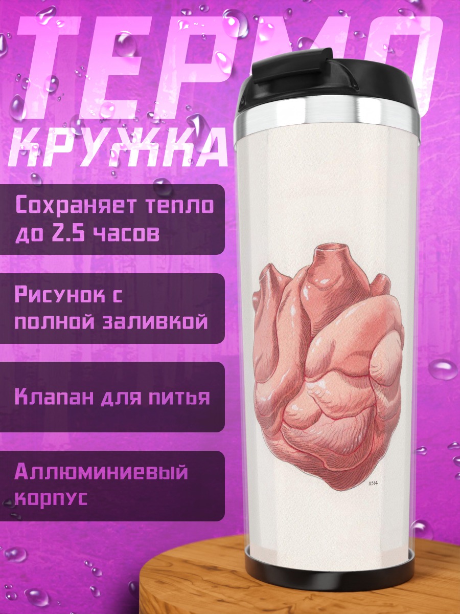 Термокружка Анатомия сердца